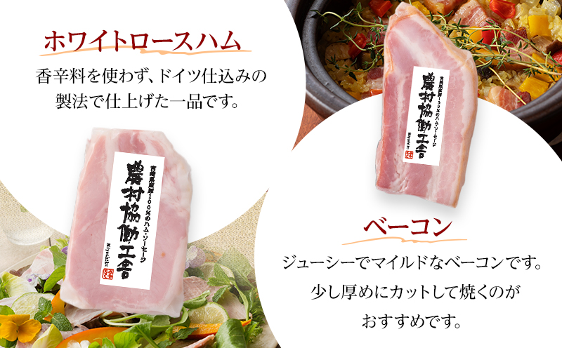 宮崎市産豚 彩りセット(ハム・ソーセージ・ベーコンのセット) 4種_M132-049
