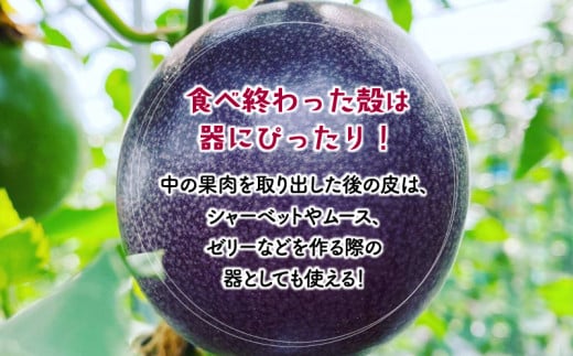《2024年発送》期間・数量限定 ８年かけて誕生した宮崎県産極上パッションフルーツ　Ｍ　2kg_M057-004
