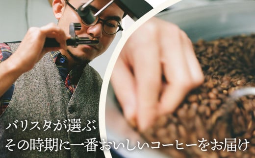 《豆のまま》バリスタおすすめのコーヒー 250g×2種類 計500g_M200-005_01_b