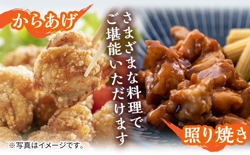 宮崎県産若鶏モモ切り身 小分けパック 合計2.5kg(250g×10パック)_M144-004