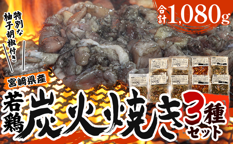 宮崎「宮崎肉魚青木」県産 若鶏 炭火焼き 3種 1.08kg（120g×9袋：しお5みそ2辛みそ2）_M210-004_03