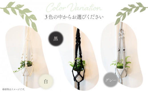 《黒》季節の観葉植物と3色から選べるマクラメハンギングプランタ―のセット_M005-006_bk