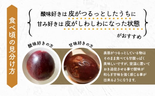 《2024年発送》期間・数量限定 ８年かけて誕生した宮崎県産極上パッションフルーツ　Ｍ　2kg_M057-004