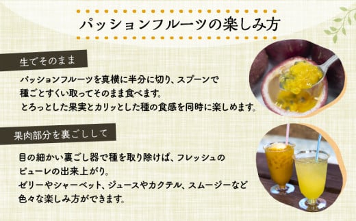 《2024年発送》期間・数量限定 ８年かけて誕生した宮崎県産極上パッションフルーツ　Ｍ　2kg_M057-004