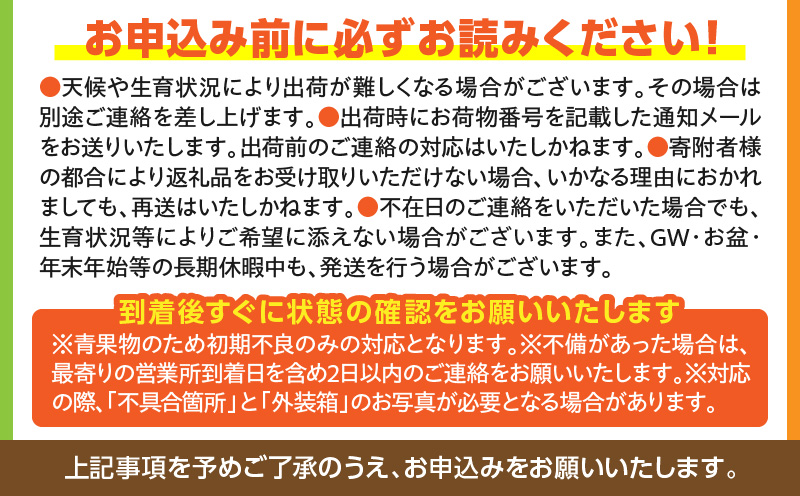 《2026年発送》【数量・期間限定】宮崎県産さがほのか 約1kg いちご 苺 フルーツ_M267-002-02