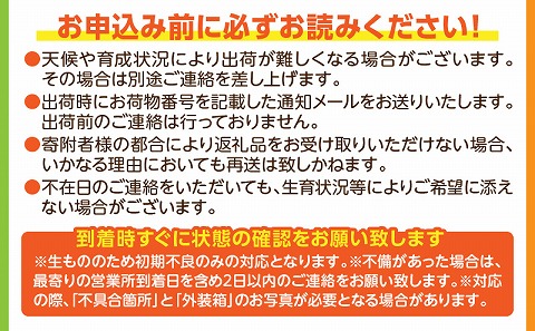 《2025年発送先行予約》【期間・数量限定】完熟きんかんたまたま 3kg_M056-003_01