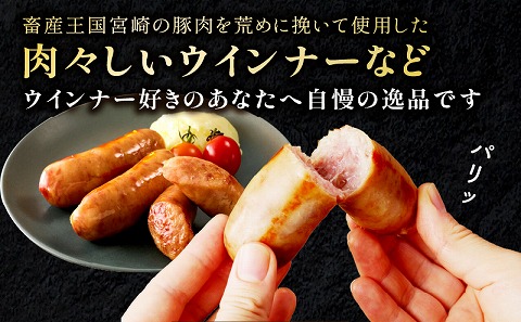 宮崎県産豚肉ハム・ウインナーセット（合計1.25ｋｇ9種類）_M009-010