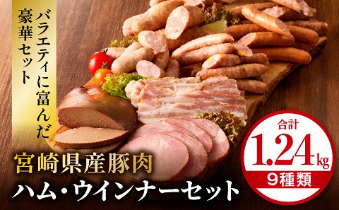 宮崎県産豚肉ハム・ウインナーセット（合計1.24kg 9種類）_M009-010