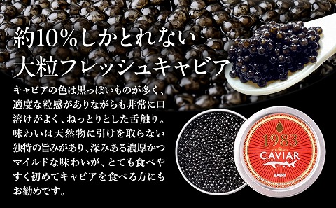 宮崎キャビア1983 バエリプレミアム (30g) 国産 宮崎県産 キャビア 30g チョウザメ 長期熟成 珍味 ギフト 化粧箱入り_M017-011_02