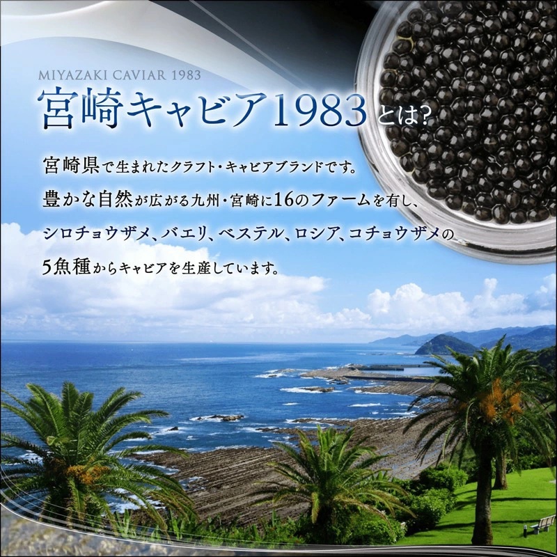 ãå®®åŽåžéå® å®®åŽãã£ãã¢1983ã京éœåå
ãªãªãžãã« çæããŸå³ãã£ã㢠12g åãã£ã㢠åœç£ ãã£ã㢠å颚 åé£ ãã§ãŠã¶ã¡ åç²§ç®±å
¥ã åç²§ç®± èŽççš èŽãç© ã®ãã æåç£ é«çŽ äžçäžå€§çå³ çå³ ãã€ãŸã¿ å·å ãåãå¯ã ã°ã«ã¡_M017-021