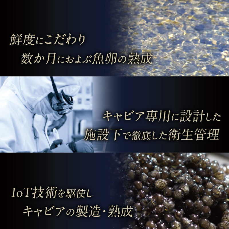 ãå®®åŽåžéå® å®®åŽãã£ãã¢1983ãç¥åããæšãªãªãžãã« CAVIAR JAPAN SASAKI (20g) åœç£ å®®åŽçç£ ãã£ã㢠20g åãã£ã㢠ãªãªãžãã« æ¥æ¬æç åé£ çå³ ã®ãã åç²§ç®±å
¥ã_M017-020