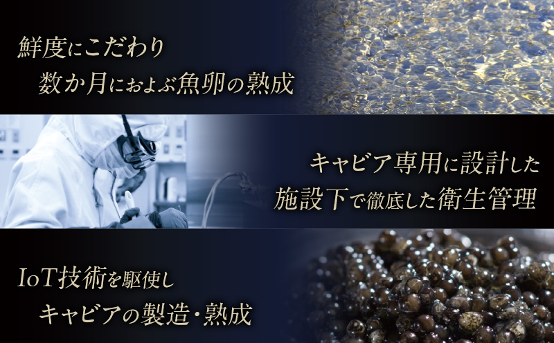 【日本ギフト大賞2017 ふるさとギフト最高賞(宮崎県賞)】宮崎キャビア1983 プレミアム(60g) キャビア 60g 本格熟成 チョウザメ 高級珍味 高級食材 珍味 世界三大珍味 化粧箱 贈り物 贈答 贈答用 ギフト グルメ お取り寄せ_M017-026_01