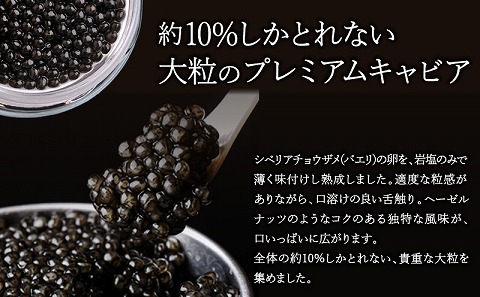 宮崎キャビア1983 バエリプレミアム (60g) 国産 宮崎県産 キャビア 60g チョウザメ 長期熟成 珍味 ギフト 化粧箱入り_M017-028_02