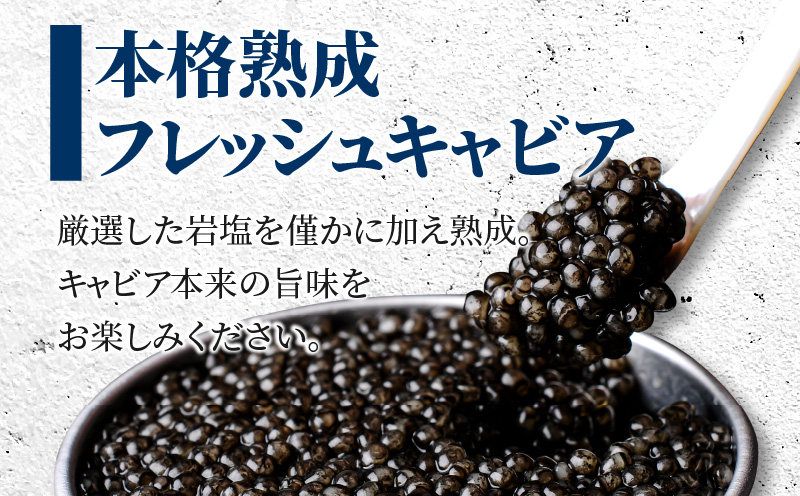 【訳あり】宮崎県産キャビア 詰め合わせ 合計100g_M017-049