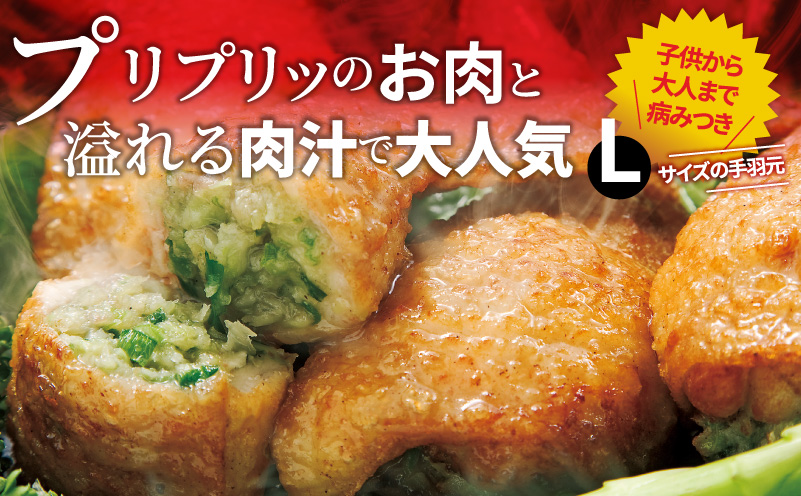 手羽先3種セット(手羽先餃子・手羽先明太・手羽先チーズ)各10本入り 餃子 ぎょうざ 手羽餃子 手羽先餃子 おススメ おかず お惣菜 惣菜 お弁当 食べ比べ 詰め合わせ セット お取り寄せ グルメ 名物 手羽_M025-001-02