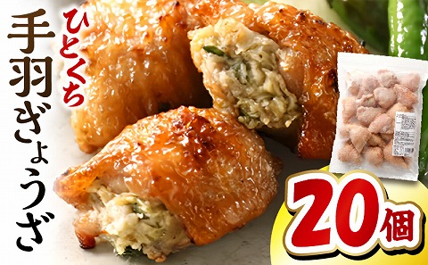 ひとくち手羽ぎょうざ 20個入×1パック_M025-005-01