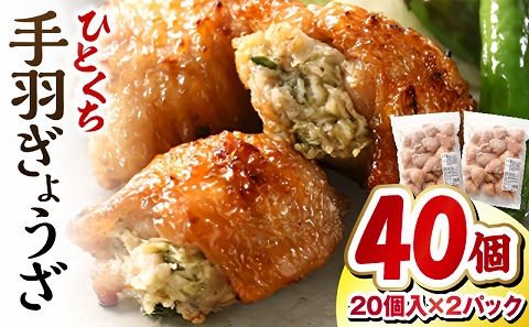 ひとくち 手羽 ぎょうざ 計40個 20個入×2パック_M025-005