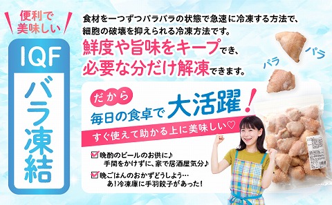 ã²ãšãã¡ æçŸœ ãããã èš40å 20åå
¥Ã2ããã¯_M025-005