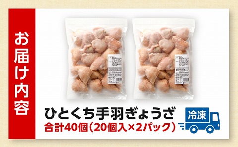 ã²ãšãã¡ æçŸœ ãããã èš40å 20åå
¥Ã2ããã¯_M025-005