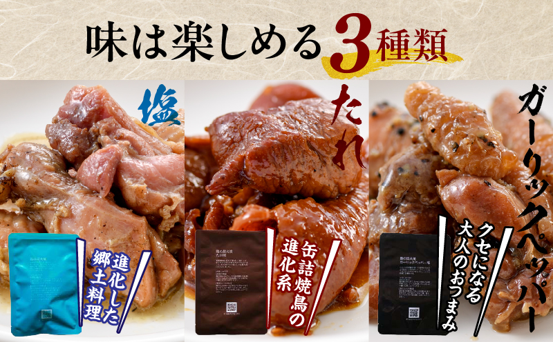 3種の鶏の炭火焼セット(合計24パック 2.4kg)_M032-005