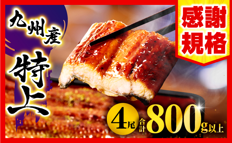 九州産うなぎ蒲焼4尾(計800g以上＆さんしょう、たれ付き) 鰻蒲焼 うなぎ蒲焼 うなぎ 蒲焼 国産 ギフト 化粧箱 化粧箱入り 小分け パック 冷凍_M040-011-UP