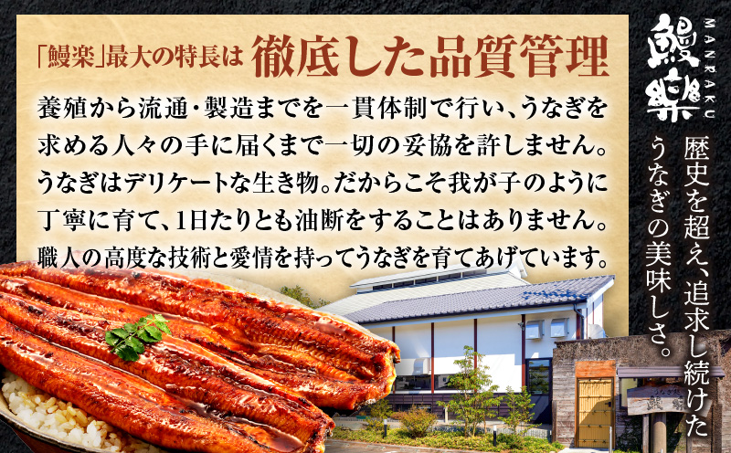 九州産うなぎ蒲焼きざみ6袋、うなぎ蒲焼きざみ(ごぼう入り)6袋 合計600g 国産 うなぎ 鰻 きざみ 600g 蒲焼 蒲焼き ひつまぶし 湯煎 小分け 個包装 真空パック 冷凍 ギフト_M040-005_01