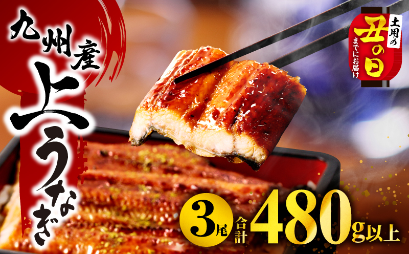 【丑の日までにお届け】九州産うなぎ蒲焼3尾(計480g以上＆さんしょう、たれ付き) 鰻蒲焼 うなぎ蒲焼 うなぎ 蒲焼 冬うなぎ 冬鰻 国産 惣菜 簡単調理 レンジ 湯煎 ボイル レトルト 小分け パック 冷凍 人気 おすすめ 鰻楽_M040-012-U