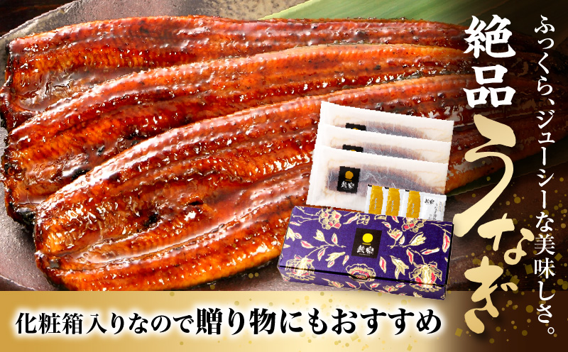 九州産うなぎ蒲焼3尾(計480g以上＆さんしょう、たれ付き)|鰻蒲焼 うなぎ蒲焼 うなぎ 蒲焼 冬うなぎ 冬鰻 国産 惣菜 水産物 惣菜 簡単調理 レンジ 湯煎 ボイル レトルト セット 国産 魚介 贈答 贈り物 ギフト 化粧箱入り 小分け パック 冷凍 人気 おすすめ 鰻楽|_M040-012