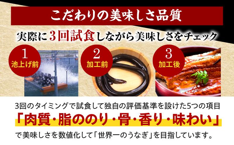 九州産うなぎ蒲焼3尾(計480g以上＆さんしょう、たれ付き)|鰻蒲焼 うなぎ蒲焼 うなぎ 蒲焼 冬うなぎ 冬鰻 国産 惣菜 水産物 惣菜 簡単調理 レンジ 湯煎 ボイル レトルト セット 国産 魚介 贈答 贈り物 ギフト 化粧箱入り 小分け パック 冷凍 人気 おすすめ 鰻楽|_M040-012
