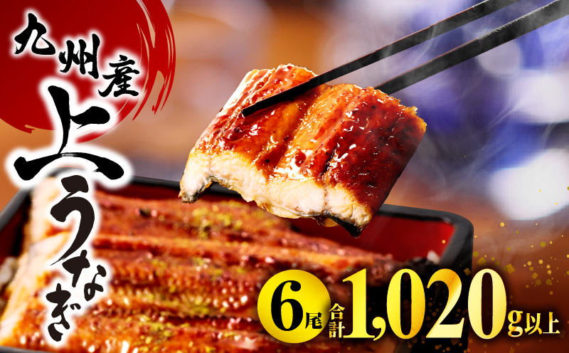 九州産うなぎ蒲焼6尾(計1,020g＆さんしょう、たれ付き) 鰻 たれ 国産 うなぎ 蒲焼 6尾 惣菜 簡単調理 化粧箱 贈答 贈り物 冬うなぎ 冬鰻_M040-013_01