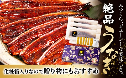 国産うなぎ 蒲焼6尾(計1020g以上) 鰻蒲焼用たれとさんしょうのセット(うなぎ1尾170g以上の鰻6尾からなるウナギの詰め合わせ)_M040-013_01