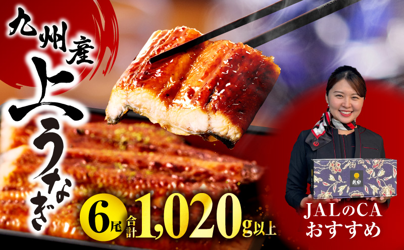 【JALのCAおすすめ】九州産うなぎ蒲焼6尾(計1,020g＆さんしょう、たれ付き) 鰻 たれ 国産 うなぎ 蒲焼 6尾 惣菜 簡単調理 化粧箱 贈答 贈り物 冬うなぎ 冬鰻_M040-013_01-ID