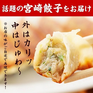 市場で製造直売の餃子! 8パックセット_M061-001_01