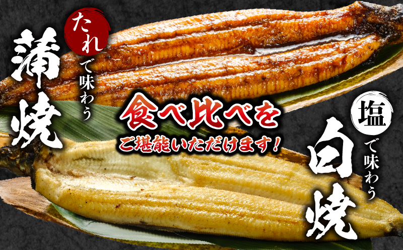 【3回定期便】国産うなぎ蒲焼・白焼(大サイズ)セット 肝焼き付 定期便 3回 鰻 うなぎ ウナギ 国産 国産鰻 国産うなぎ 蒲焼き 白焼 セット 肝焼き 蒲焼き 堪能 白焼き 長焼 贈り物 たれ さんしょう 山椒 冷凍 丑の日 惣菜 お惣菜 おかず_M069-T011-3-2
