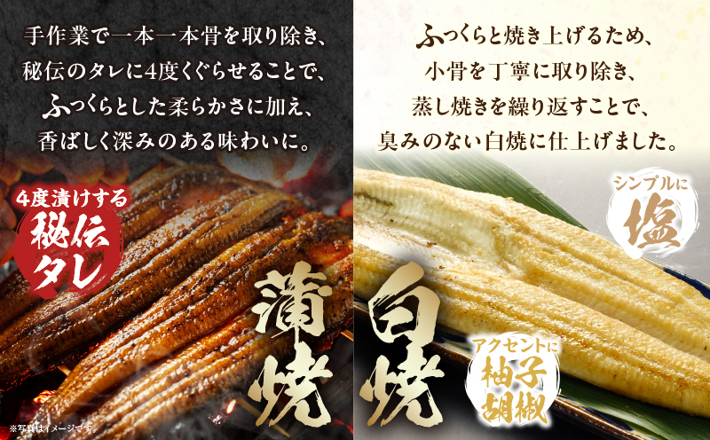 【3回定期便】国産うなぎ蒲焼・白焼(大サイズ)セット 肝焼き付 定期便 3回 鰻 うなぎ ウナギ 国産 国産鰻 国産うなぎ 蒲焼き 白焼 セット 肝焼き 蒲焼き 堪能 白焼き 長焼 贈り物 たれ さんしょう 山椒 冷凍 丑の日 惣菜 お惣菜 おかず_M069-T011-3-2