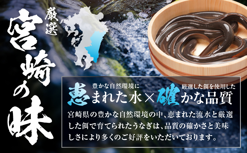 国産うなぎ蒲焼(特大サイズ)・肝焼きセット 鰻 うなぎ ウナギ 国産 鰻蒲焼 蒲焼 蒲焼き うなぎの蒲焼 うなぎ蒲焼き 特大 1尾 肝焼き セット 丑の日 うな丼 うな重 冷凍 丑の日 グルメ お取り寄せ 冷凍 パック 真空パック 惣菜 お惣菜 おかず ギフト_M069-015_01