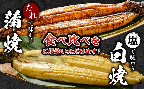 åœç£ããªãè²çŒã»çœçŒã»ãã èçŒãä»_M069-011_03