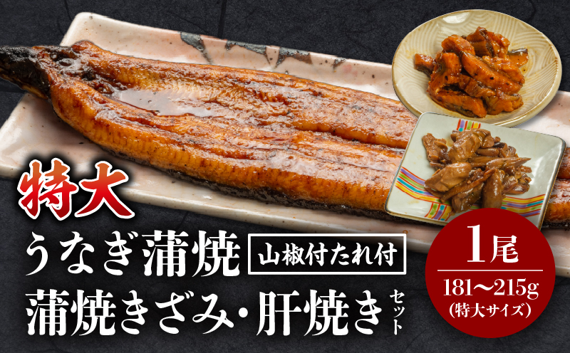 国産うなぎ蒲焼(特大サイズ)・きざみ・肝焼きセット 鰻 うなぎ ウナギ 国産 鰻蒲焼 蒲焼 蒲焼き うなぎの蒲焼 うなぎ蒲焼き 特大 1尾 きざみ 肝焼き セット 丑の日 うな丼 うな重 冷凍 簡単調理 湯煎 ボイル レンジ フライパン 丑の日 グルメ お取り寄せ 冷凍 パック 真空パック 惣菜 お惣菜 おかず ギフト_M069-014_01