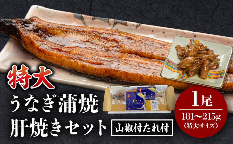 国産うなぎ蒲焼(特大サイズ)・肝焼きセット 鰻 うなぎ ウナギ 国産 鰻蒲焼 蒲焼 蒲焼き うなぎの蒲焼 うなぎ蒲焼き 特大 1尾 肝焼き セット 丑の日 うな丼 うな重 冷凍 丑の日 グルメ お取り寄せ 冷凍 パック 真空パック 惣菜 お惣菜 おかず ギフト_M069-015_01