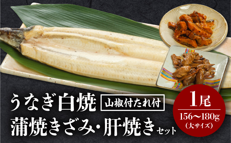うなぎ白焼(大サイズ)・きざみ・肝焼きセット うなぎ 白焼 セット 冬うなぎ 冬鰻_M069-020
