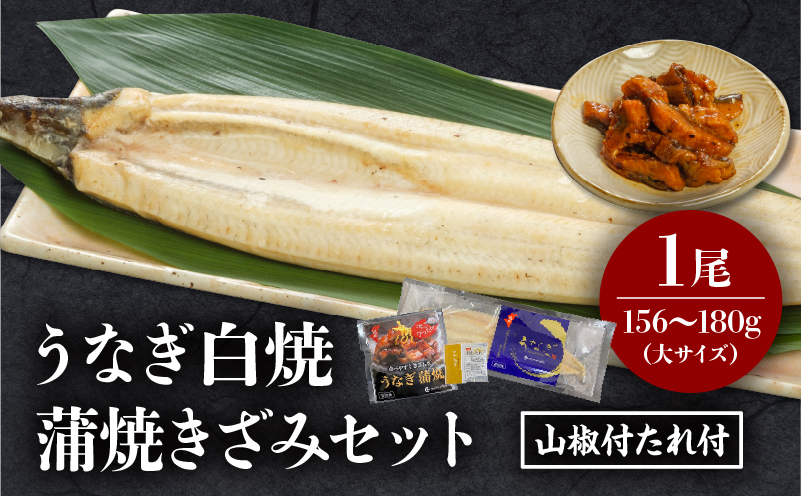 うなぎ白焼(大サイズ)・きざみセット うなぎ 白焼 セット 冬うなぎ 冬鰻_M069-021