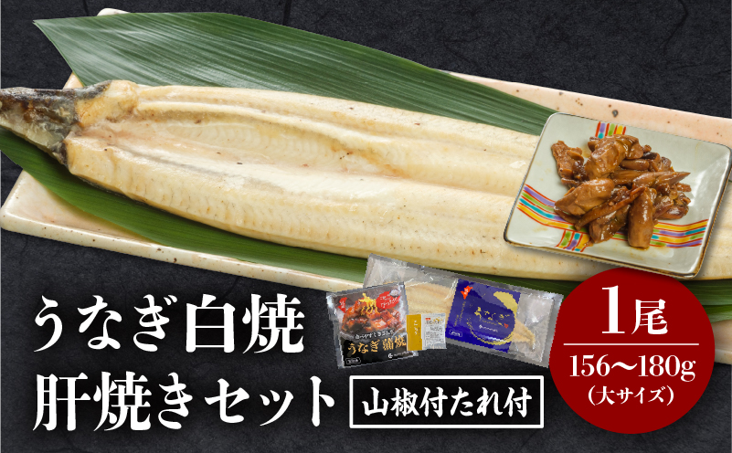 うなぎ白焼(大サイズ)・肝焼きセット うなぎ 白焼 セット 冬うなぎ 冬鰻_M069-022