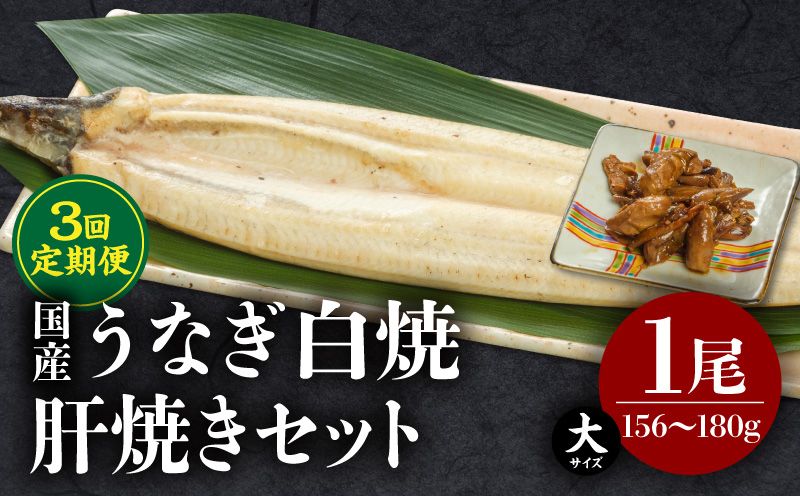 【3回定期便】うなぎ白焼(大サイズ)・肝焼きセット うなぎ ウナギ 鰻 白焼 肝焼き 蒲焼 たれ 山椒 セット 定期便 3回 冷凍 ギフト 丑の日_M069-T022-3-2