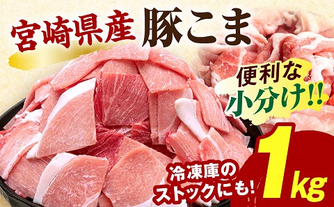 宮崎県産豚肉小間切れ 200g×5パック_M109-024