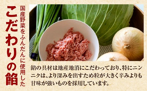 【定期便奇数月】宮崎餃子専門店・黒兵衛・餃子10パック（100個）×隔月6回_M126-T003