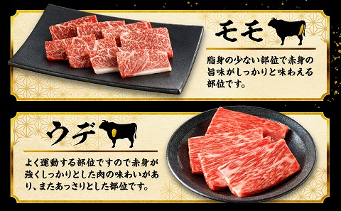 宮崎牛焼肉10種盛り合わせ_M132-067