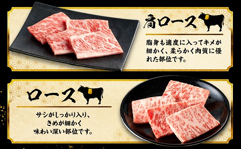 宮崎牛焼肉10種盛り合わせ_M132-067