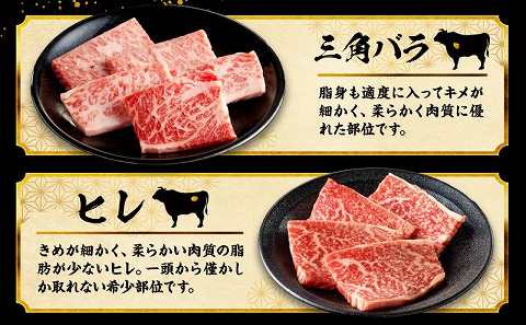 宮崎牛焼肉10種盛り合わせ_M132-067