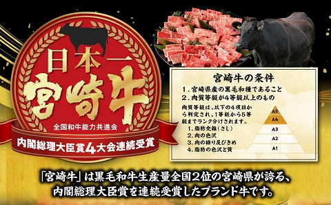 宮崎牛焼肉10種盛り合わせ_M132-067