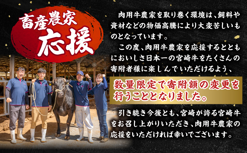 【数量限定】畜産農家応援！宮崎牛ロースステーキ250g×2 国産 国産牛 宮崎牛 みやざき牛 ブランド牛 和牛 ロース肉 _M132-014-PU3